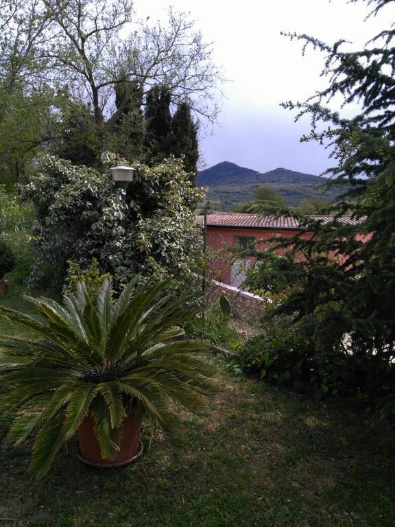 Agriturismo Usurtala Orani 외부 사진