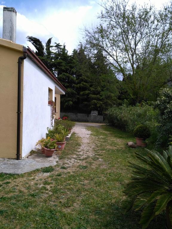 Agriturismo Usurtala Orani 외부 사진