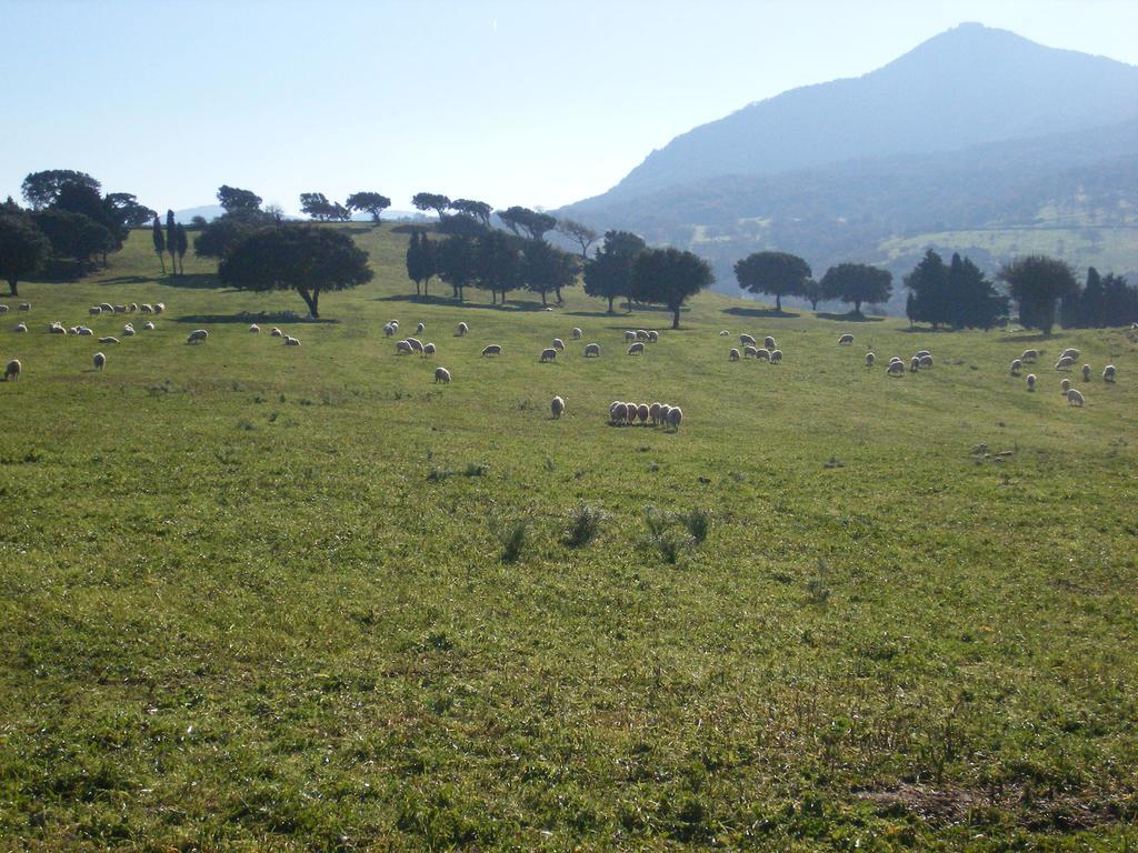 Agriturismo Usurtala Orani 외부 사진
